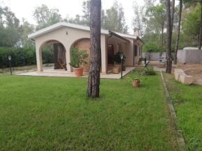 Villa Oasi